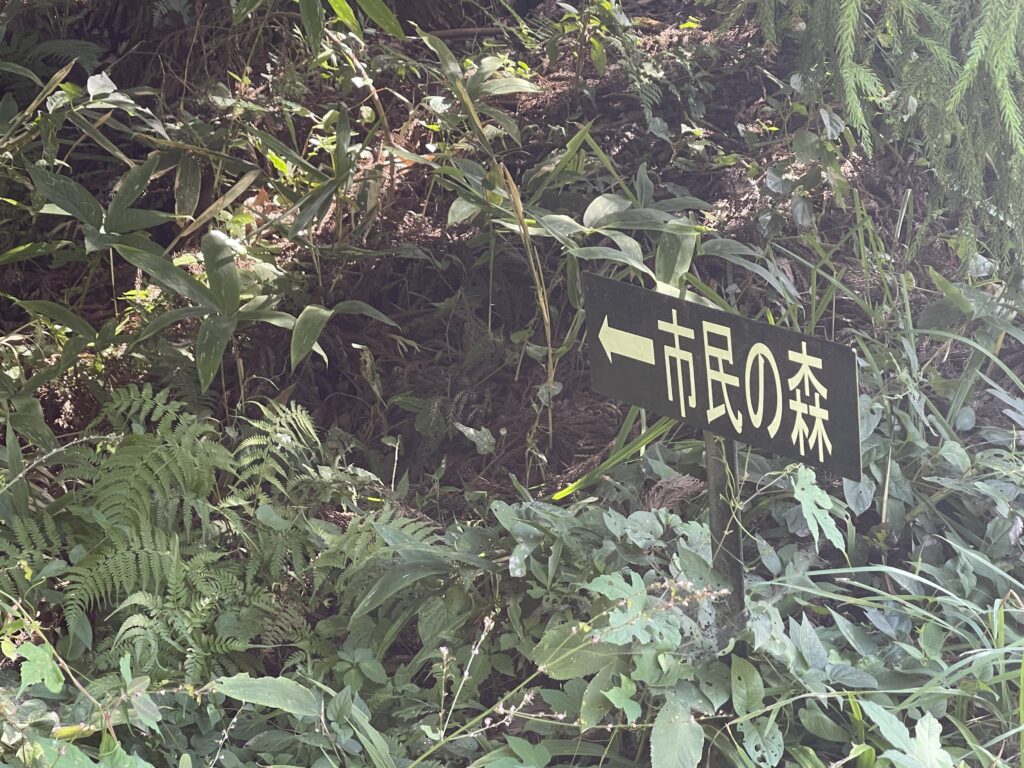 須賀川市民の森