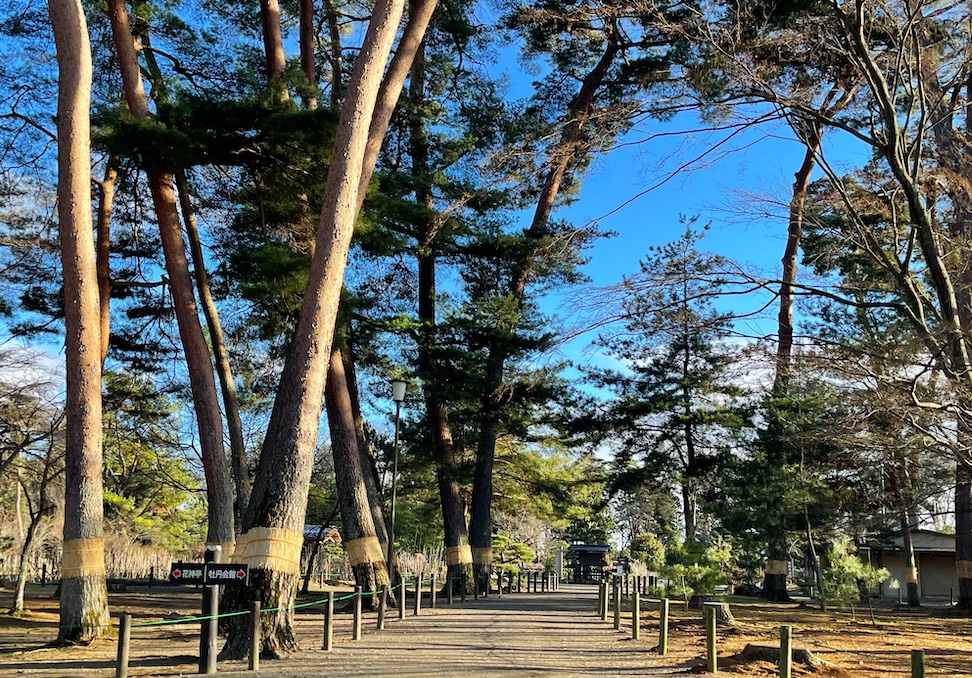 須賀川,牡丹園